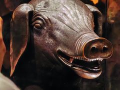 -广西壮族自治区博物馆