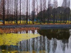 -尚贤河湿地