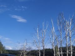 -塞罕坝国家级自然保护区