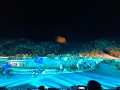 -鼎盛王朝康熙大典实景演出