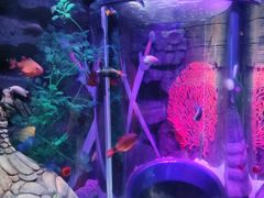 -沈阳海洋探索中心