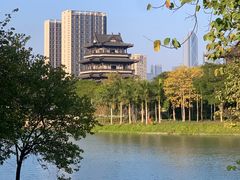 -海珠湖公园