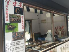 门面-绳金塔美食街(前进路店)