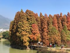 -星湖旅游景区七星岩