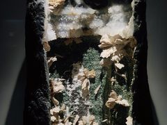 -重庆自然博物馆(新馆)