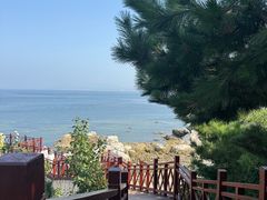 -养马岛旅游度假区