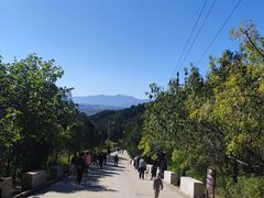 -北京十三陵国家森林公园蟒山景区