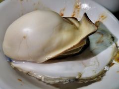 厦门顶级生蚝-渔文乐农庄