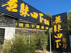 -蘑统田下·野生菌火锅