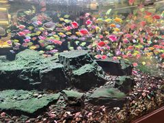 -百草香驴肉坊(国际城店)