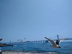 -星海广场