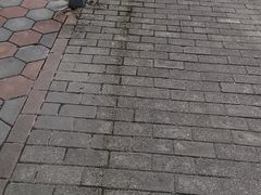 -九龙湾·御膳坊(九龙窠路店)