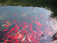 -韶山毛泽东同志故居