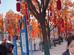 -沈阳方特欢乐世界