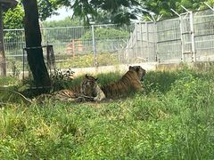 -东莞香市动物园