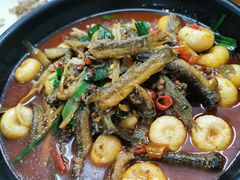 -弓虽昌焖烧鸡(大竹林店)