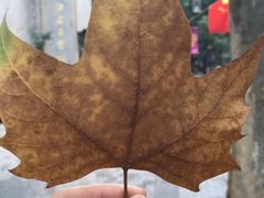 -杭州龙禧福朋喜来登酒店