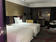 -南京禄口机场雅高铂尔曼大酒店