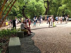 -晓港公园