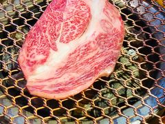 -黑牛の店·黑金店(沈阳万象城店)