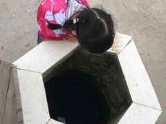 -小鱼草莓采摘园农家乐·小鱼餐厅