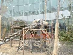 -青藏高原野生动物园
