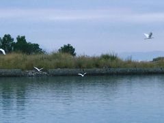 -碧桂园十里银滩