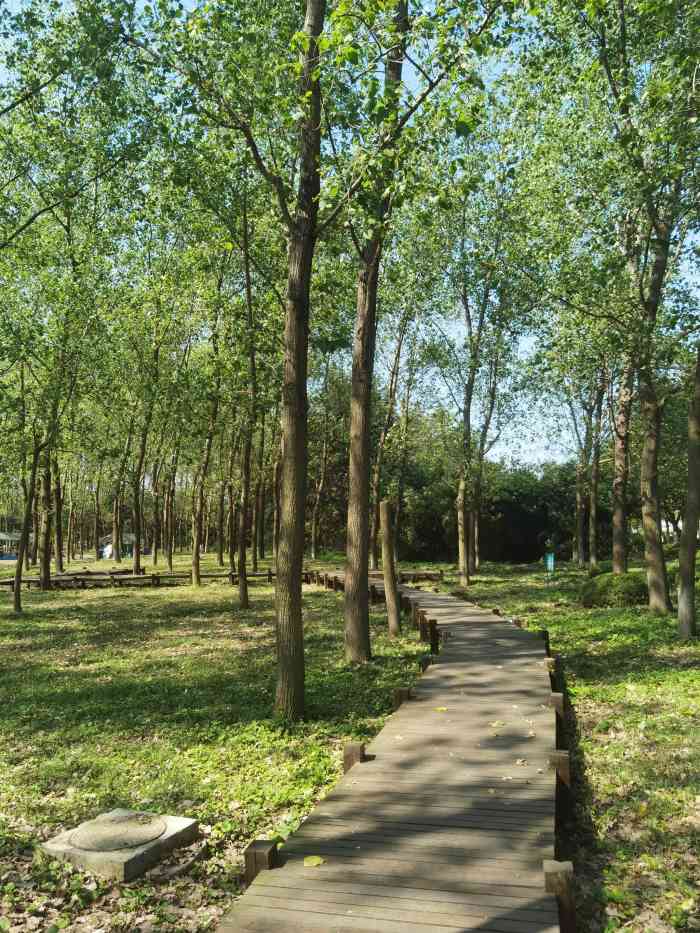 呼吸森林-"周末天气不错,开车来太湖边玩玩,看到有这.