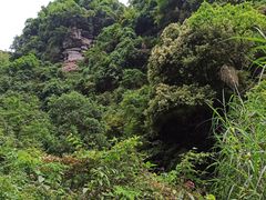 -碧峰峡风景区