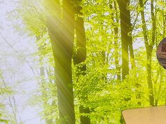 -东北小板凳地摊烧烤(泰来街店)