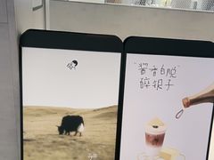 -喜茶(广州东方宝泰店)