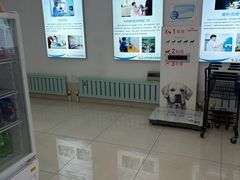 -北京观赏动物医院·24小时大型综合·猫专科·异宠专科