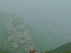 -灵山