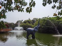-深圳野生动物园