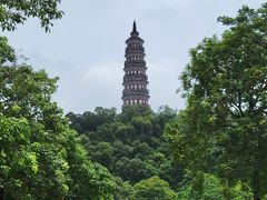 -顺峰山公园