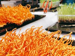 -V-ONE西雅图海鲜自助餐厅(仓山万达广场店)