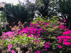 -成都武侯祠博物馆