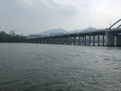 -桐君山春江扬帆码头