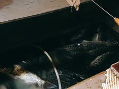-重庆乌鱼庄·龙滋鲜(青羊大道店)