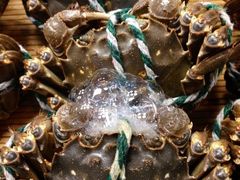 iphone_upload_pic-香融府·烤鸭·家常菜(马家堡路店)