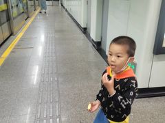 -浦东1号2号航站楼(地铁站)