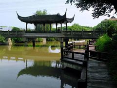 -宏泰园蔬果专业合作社