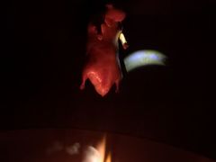 -星鹿农家乐·烤鸡·柴火鸡·团建