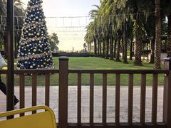 -三亚海棠湾万丽度假酒店