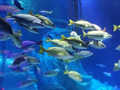 -沈阳海洋探索中心