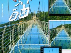-南丹山森林王国