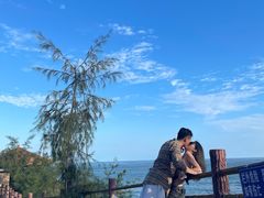 -广东惠东海龟国家级自然保护区