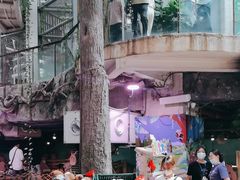 -正佳雨林生态植物园
