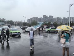 -小麦岛公园