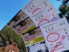 -棒棰岛宾馆景区